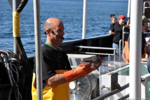 A shark for the display tank.