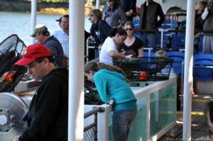 Viewing Tanks and Prawn Traps