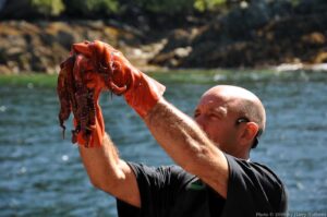 Ugggghh! An Octopus!