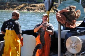 Hang on tight! It's an Eel!