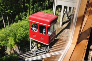 We rode up the hillside and walked back down.