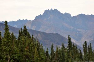 Denali National Park