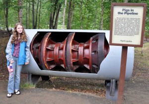 DSC_1705w The PIG that cleans the pipe line.