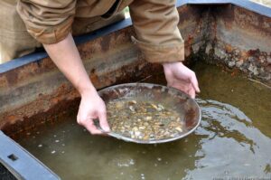 DSC_1750w The washed rocks.