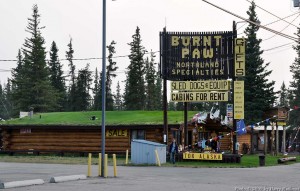 DSC_1790w The Burnt Paw